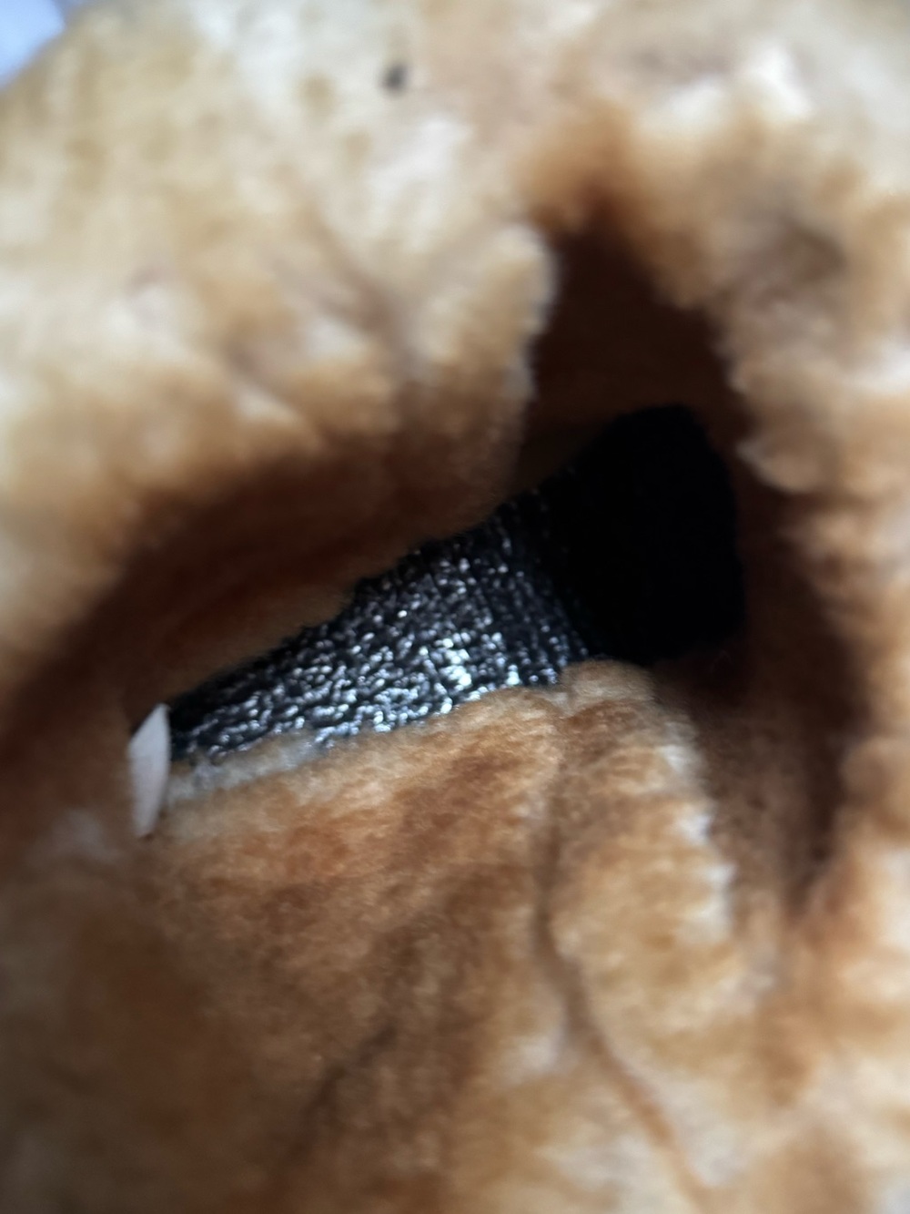 Shearling Cuff Winter Boot - Picture 7 of 8